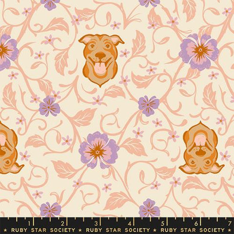 Pitbull Novelty Floral in Shell ---  Dog Park by Sarah Watts -- Ruby Star Society -- Moda Fabric