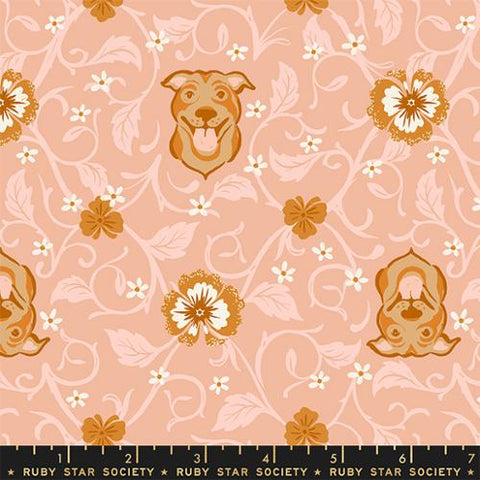 Pitbull Novelty Floral in Dahlia---  Dog Park by Sarah Watts -- Ruby Star Society -- Moda Fabric