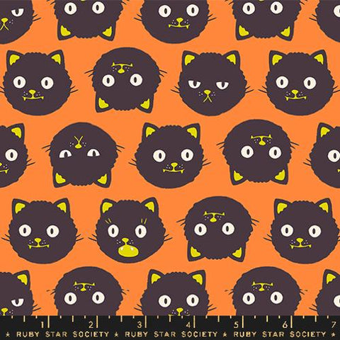 Scaredy Cats in Pumpkin ---  Good Spirits -- Ruby Star Society -- Moda Fabric